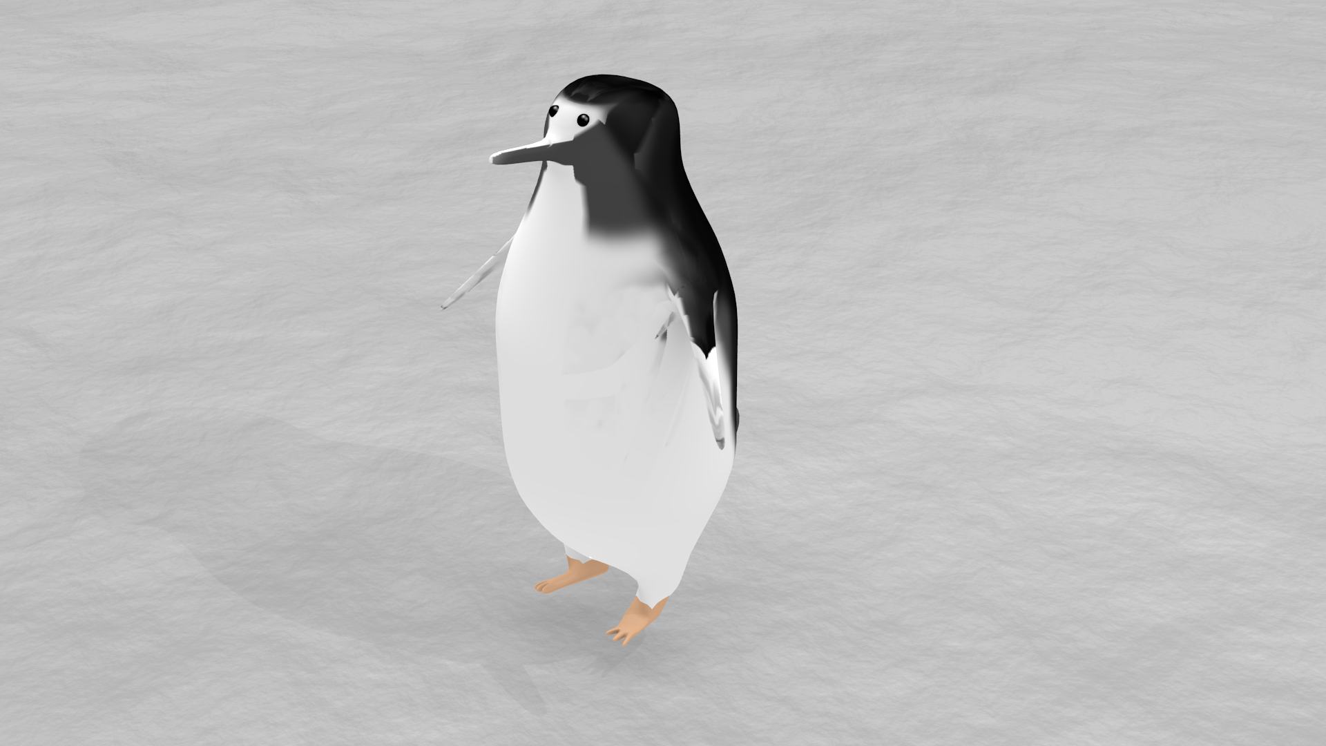 gentoo penguin